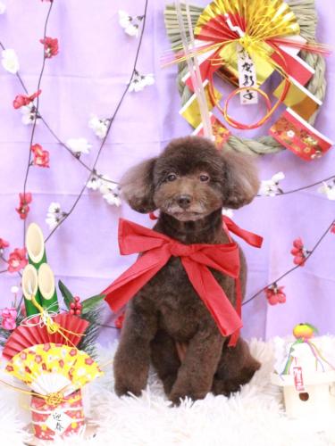 20230114杏ちゃん